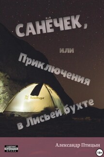 Санёчек, или Приключения в Лисьей бухте - Александр Лебедев