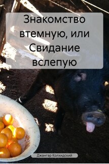 Знакомство втемную, или Свидание вслепую - Джангар Колхидский