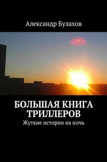 Большая книга триллеров. Жуткие истории на ночь - Александр Булахов