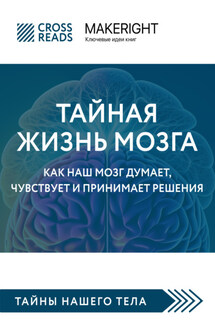 Саммари книги «Тайная жизнь мозга. Как наш мозг думает, чувствует и принимает решения» - Коллектив авторов