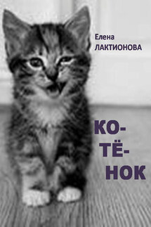 Котенок - Елена Лактионова