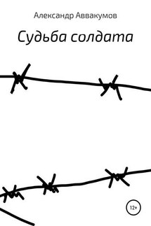 Судьба солдата - Александр Аввакумов