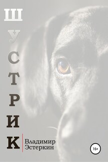 Шустрик - Владимир Эстеркин