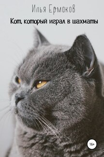 Кот, который играл в шахматы - Илья Ермаков