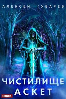 Аскет. Книга 1. Чистилище - ИДДК
