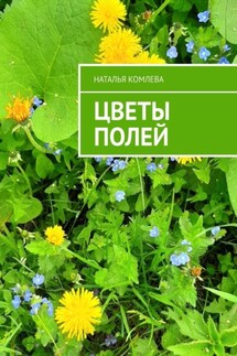 Цветы полей - Наталья Комлева