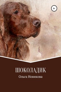 Шоколадик - Ольга Новикова