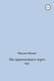 Мы приземлимся через час - Максим Жичин