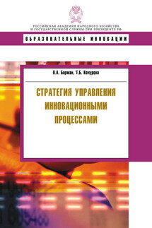 Стратегия управления инновационными процессами - Татьяна Борисовна Кочурова, Лариса Александровна Бирман