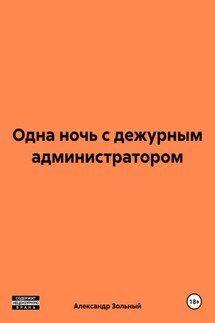 Одна ночь с дежурным администратором - Александр Зольный