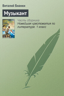 Музыкант - Виталий Бианки