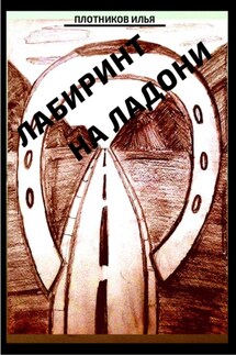 Лабиринт на ладони - Илья Плотников