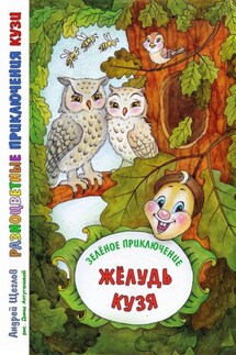 Разноцветные приключения Кузи: Зеленое приключение – Жёлудь Кузя - Андрей Щеглов