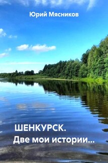 ШЕНКУРСК. Две мои истории… - Юрий Мясников