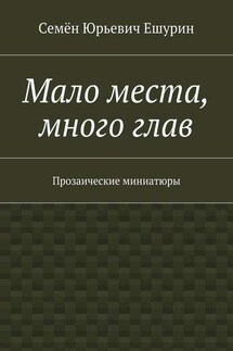 Мало места, много глав. Прозаические миниатюры - Семён Ешурин