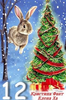 12 - Кристина Фант, Елена Ха