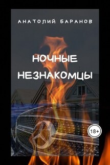 Ночные незнакомцы - Анатолий Баранов
