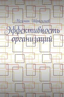 Эффективность организаций - Мехман Ибрагимов