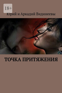 Точка притяжения - Юрий и Аркадий Видинеевы
