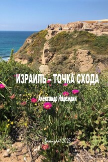 Израиль – точка схода - Александр Надеждин