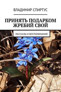 Принять подарком жребий свой. Рассказы и воспоминания - Владимир Спиртус
