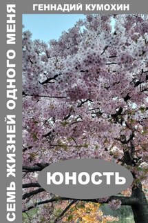 Семь жизней одного меня. Юность - Геннадий Кумохин