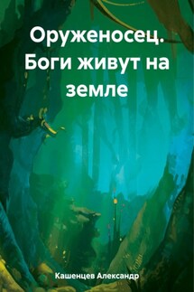 Оруженосец. Боги живут на земле - Александр Кашенцев