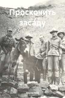 Проскочить засаду - Бёрнер Вася