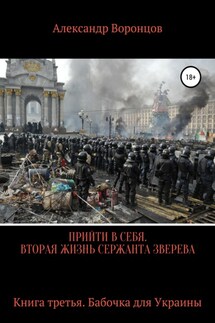 Прийти в себя. Вторая жизнь сержанта Зверева. Книга третья - Александр Воронцов