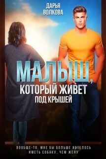 Малыш, который живет под крышей - Дарья Волкова
