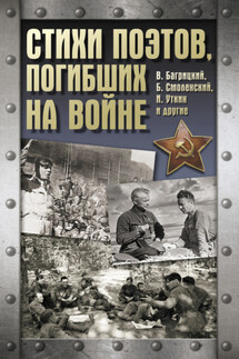 Стихи поэтов, погибших на войне - Василий Сульдин