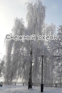 Снежный океан - Н. Козлова