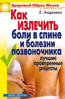 Как излечить боли в спине и болезни позвоночника. Лучшие проверенные рецепты - Екатерина Андреева