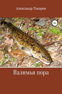Налимья пора - Александр Токарев