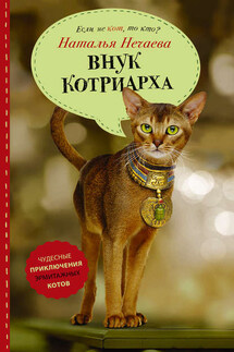 Внук котриарха - Наталья Нечаева