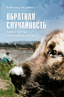 Обратная случайность. Хроники обывателя с примесью чертовщины. Книга третья. Повелитель собак - Александр Бедрянец