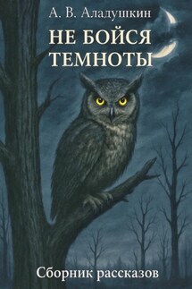 Не бойся темноты - Александр Аладушкин