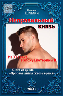 Неправильный князь. Из XXI века в век Екатерины II. Книга из цикла «Прорвавшийся сквозь время» - Максим Шпагин