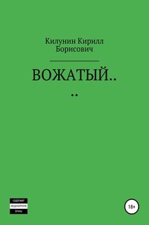 ВОЖАТЫЙ… - Кирилл Килунин