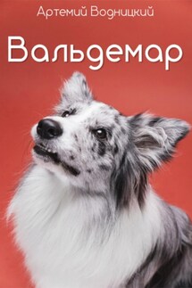 Вальдемар - Артемий Водницкий