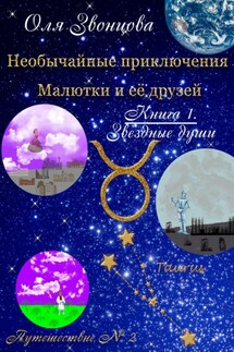 Необычайные приключения Малютки и ее друзей. Книга 1. Звездные души. Путешествие № 2 - Оля Звонцова