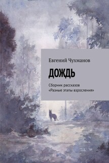 Дождь. Сборник рассказов «Разные этапы взросления» - Евгений Чухманов