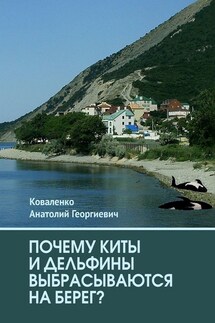 Почему киты и дельфины выбрасываются на берег? - Анатолий Коваленко
