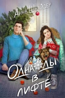 Однажды в лифте - Анна Шнайдер