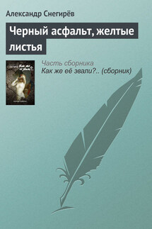 Черный асфальт, желтые листья - Александр Снегирёв