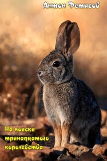 На поиски тринадцатого королевства - Антон Фетисов