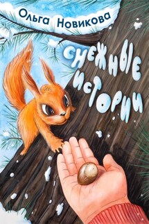 Снежные истории - Ольга Новикова
