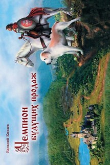 Чемпион Будущих Продаж - Василий Князев
