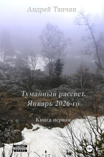 Туманный рассвет. Книга первая. Январь 2026-го - Андрей Тапчан