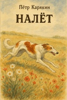 Налёт - Пётр Карякин